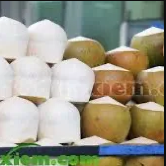 DỪA XIÊM ƯỚP LẠNH