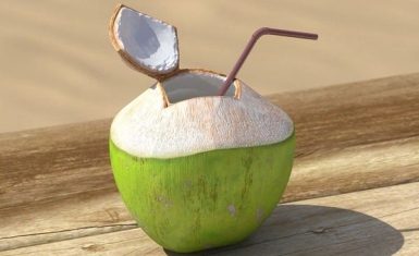 DỪA XIÊM ƯỚP LẠNH